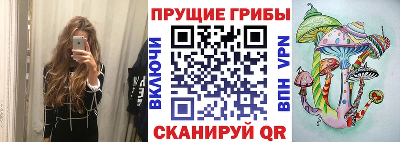 где можно купить наркотик Тарко-Сале блэк спрут ссылки Галлюциногенные грибы мухоморы